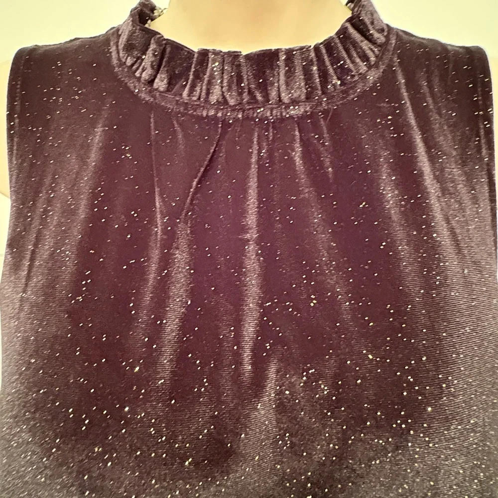 J. Crew Sparkling Black Velvet Maxi Dress NWT!